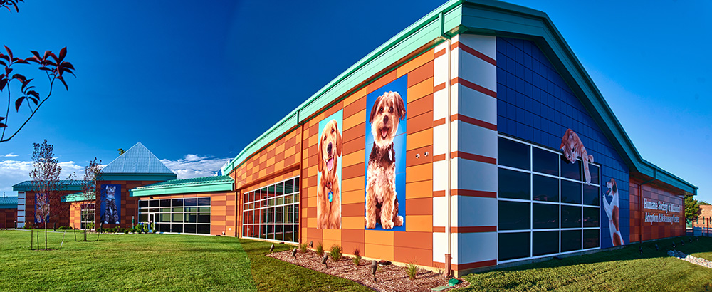 decorative building signage at the Best Buddy Pet Center