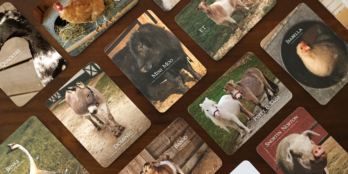 close up of Barn Buddy cards