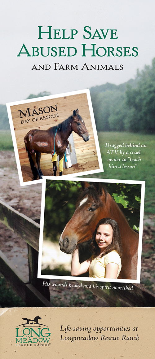 Donor brochure called Help Save Abused Horses and Farm Animals