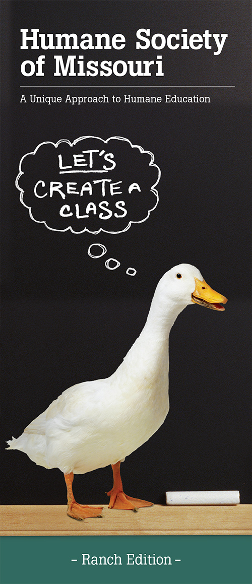 Education brochure about ranch animals called "Let's Create a Class"