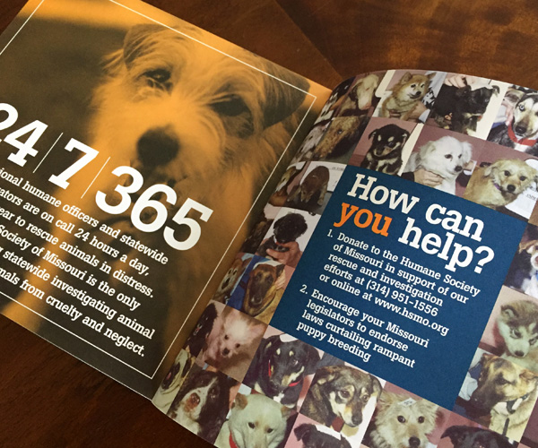 fundraising mailer interior spread