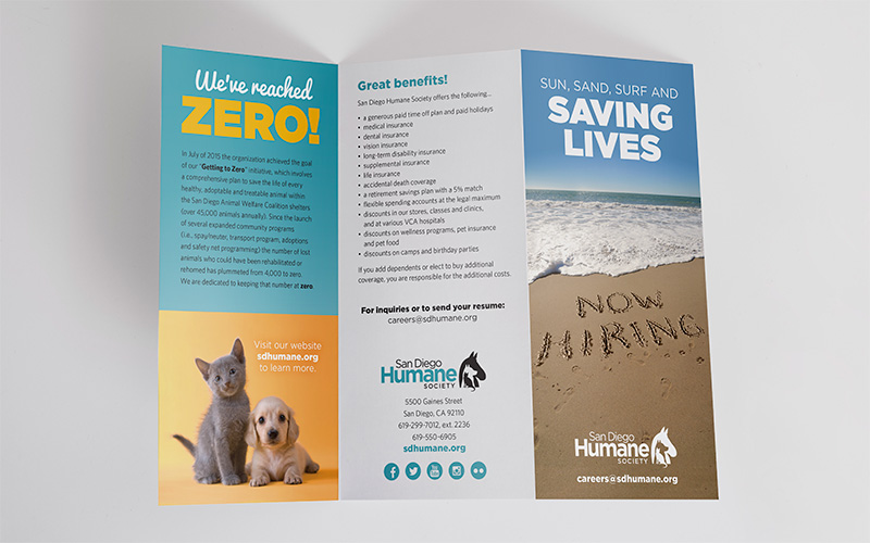 San Diego humane society vet recruitment campaign brochure