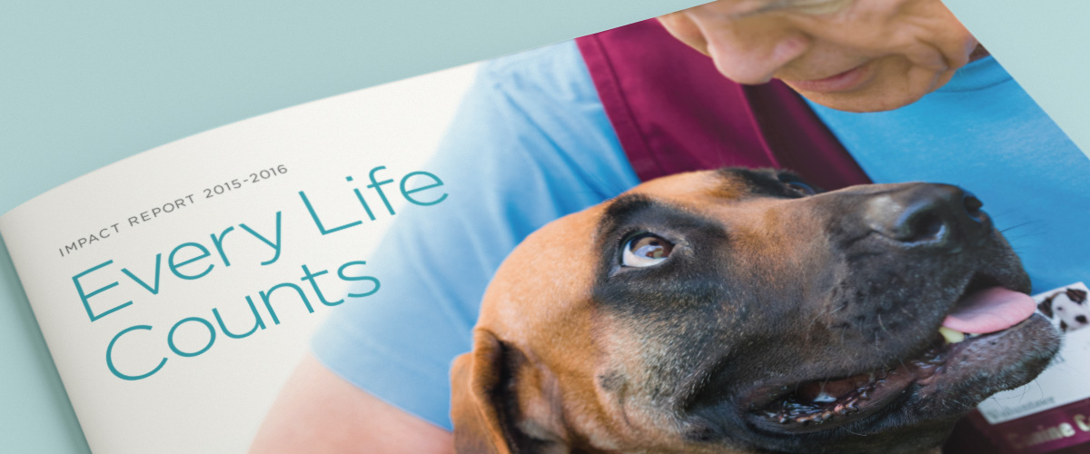 cover of "Every Life Counts" Impact Report showing dog looking at owner