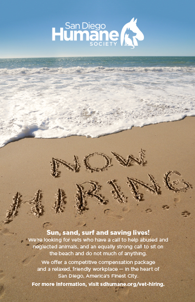 San Diego humane society vet recruitment campaign poster