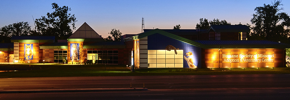night time photo of Best Buddy Pet Center building signage