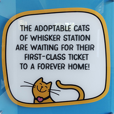 whisker station