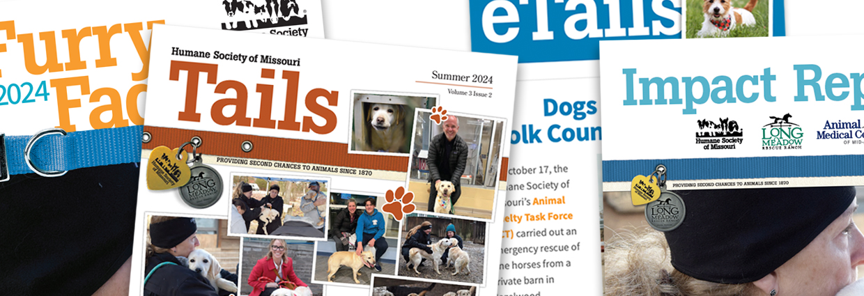 humane education brochure