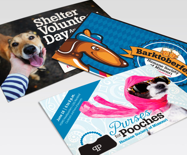 humane education brochure